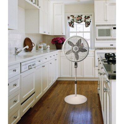 Lasko Oscillating Pedestal Fan, Size 54.5 H x 20.5 W x 20.5 D in | Wayfair 1850