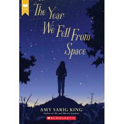 The Year We Fell From Space (paperback) - by Amy Sarig King