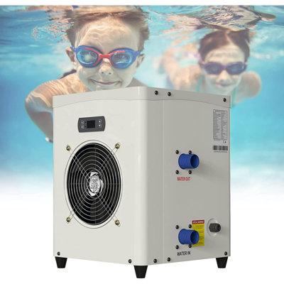 JTANGL Electric Pool Water Heater, Up to 4000 Gal Swimming Pool Heat Pumps, Max Output 14331 BTU hr, 110V, 60Hz Vinyl PVC in Black | Wayfair