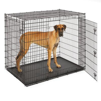 Archie & Oscar™ Ovation Trainer Double Door Pet Crate Plastic in Gray/Black | Giant (45" H x 37" W x 55" L) | Wayfair