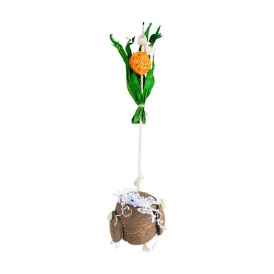 Hanging Coconut Plant Toy, Large