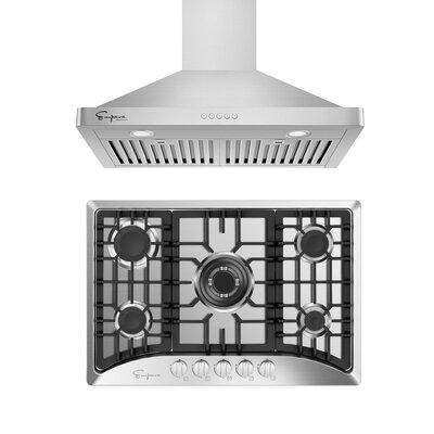 Empava 2 Piece Kitchen Package w/ 30" Gas Cooktop & 30" Ducted Wall Mount Range Hood in Gray/White | Wayfair EMPV-30GC5B70C-30RH05
