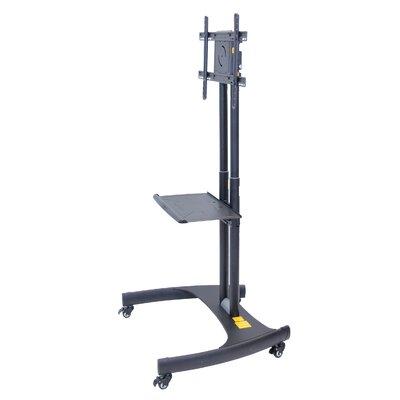 Luxor WorkplaceEssentials Gray Fixed Floor Stand Mount for LCD w/ Shelving, Holds up to 100 lbs Metal | 65.5 H x 32.75 W in | Wayfair FP2500