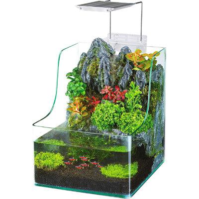 Penn Plax 1 Gallon AquaTerrium™ Aquarium Tank Glass (cost efficient & easy to clean) in Green | 11 H x 10 W x 9 D in | Wayfair PTA1