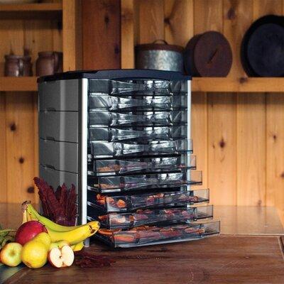 Weston 10 Tray Food Dehydrator in Black/Gray, Size 21.0 H x 19.5 W x 17.5 D in | Wayfair 28-1001-W