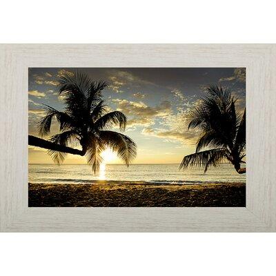 Pictures and Mirrors Coastal Framed Photographic Print Paper in Black/Brown/Yellow | Wayfair S225