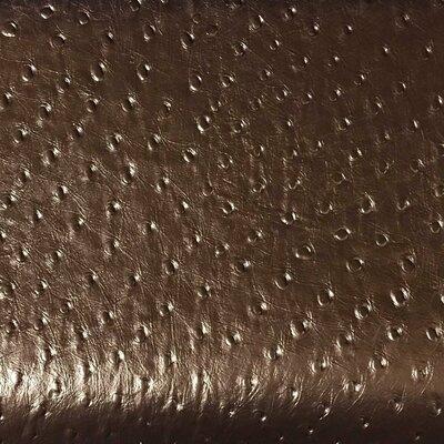 Top Fabric Ostrich-Albany Animal Print Vinyl Fabric in Brown, Size 56.0 W in | Wayfair OSTRICH_PENNY.1387