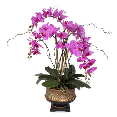 Astoria Grand Chic Beauty Orchid Nestled Floral Arrangement in Vase, Bamboo in Indigo | 29 H x 20 W x 20 D in | Wayfair ARGD2569 42687635