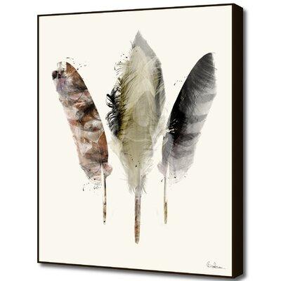 Curioos Feathers Earth by Bri Buckley Framed Graphic Art Paper in Black | 20 H x 16 W x 2 D in | Wayfair S_PR00276656_FAB