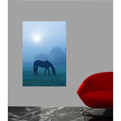 Wallhogs Morning Mist Horse Glossy Poster in Blue | 72 H x 48 W in | Wayfair anim20-p72