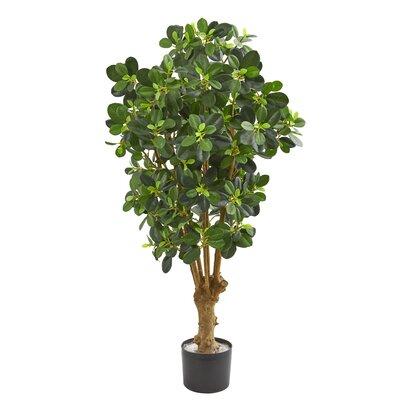 Charlton Home® 36" Artificial Ficus Tree in Planter Silk/Plastic | 36 H x 20 W x 14 D in | Wayfair 4437682B4E1D4A1F9E53B8146ECC727D