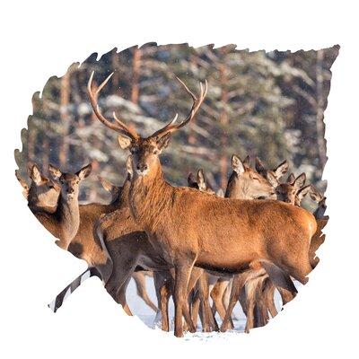 Loon Peak® Buck & Does Aspen Leaf Wall Décor Metal in Brown/Gray | 22 H x 27 W x 1 D in | Wayfair 601150890920494BA84D1D8D287BD8D7