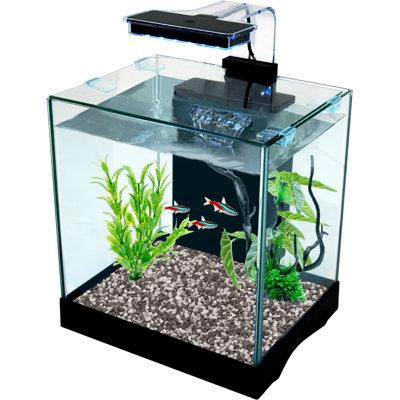 Tucker Murphy Pet™ Kesler 3.2 Gallon All-in-One Desktop Aquarium Kit Glass (cost efficient & easy to clean) in Black | Wayfair