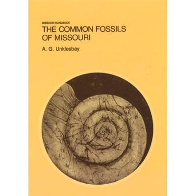 The Common Fossils Of Missouri