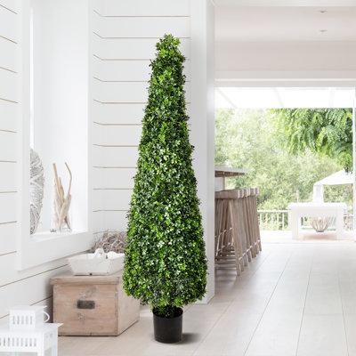 Lark Manor™ 72" Artificial Boxwood Topiary in Pot Liner Plastic | 72 H x 16 W x 16 D in | Wayfair 64AACC5AC12A4A77ADC43C7FF7D273FB
