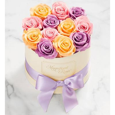 1-800-Flowers Flower Delivery Magnificent Roses Preserved Sorbet Roses Magnificent Roses Classic Sorbet