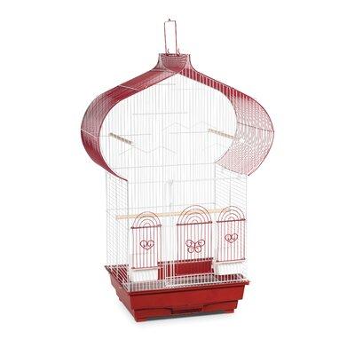 Tucker Murphy Pet™ Freund 32" Plastic Pointed Table Top Bird Cage w/ Perch Steel in Red, Size 32.0 H x 16.25 W x 14.5 D in | Wayfair SP1620-1