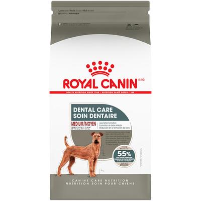 Canine Care Nutrition Medium Dental Care Dry Dog Food, 28 lbs.