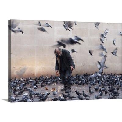 East Urban Home Lord of the Pigeons by Jaro Licko Photographic Print on Canvas in Blue/Gray | 20 H x 30 W x 1.25 D in | Wayfair