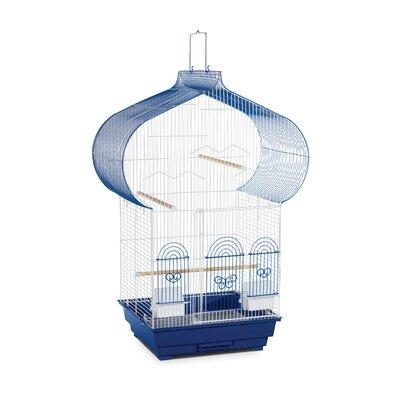 Tucker Murphy Pet™ Freund 32" Plastic Pointed Table Top Bird Cage w/ Perch Steel in Blue, Size 32.0 H x 16.25 W x 14.5 D in | Wayfair SP1620-2
