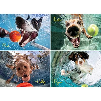 Underwater Dogs: Play Ball 1000-Piece Puzzle