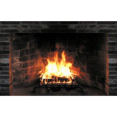 Wet Paint Printing Fireplace Cardboard Standup, Size 30.0 H x 47.0 W x 1.0 D in | Wayfair SP12126