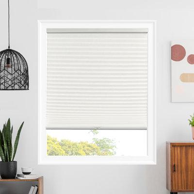 Chicology Semi-Sheer Cellular Shade Synthetic Fabrics | 64 H x 28 W x 2 D in | Wayfair CSLF-MPE-IM-28X64