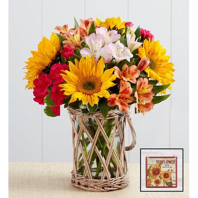 1-800-Flowers Flower Delivery Warm Sunset Bouquet W/ Wicker Vase & Sunflower Wall Décor