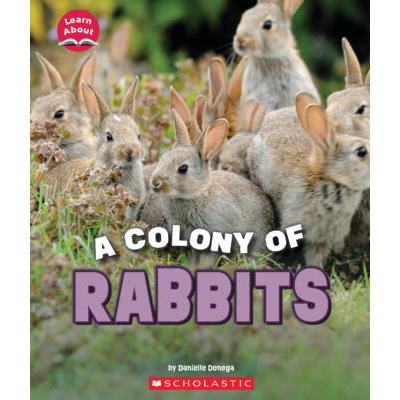 Learn About: A Colony of Rabbits (paperback) - by Danielle Denega