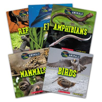 Fast and Slow Animals Value Pack