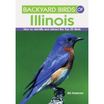 Backyard Birds Of Illinois How To Identify And Attract The Top Birds