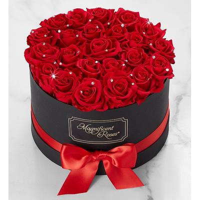 1-800-Flowers Flower Delivery Magnificent Roses Preserved Sparkle Red Roses - 24 Magnificent Roses Sparkle Red Roses 2 Dozen