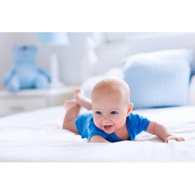 Latitude Run® 4 Baby Bibs Cotton in Gray/Blue | 1 H x 6 W in | Wayfair DA039D12BE374111B29527194A3C4CCA