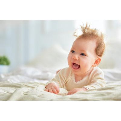 Latitude Run® 8 Baby Bibs Cotton in Pink/Gray/Indigo | 6 W in | Wayfair 40E4CECC8A02483485A489A6A48A5106