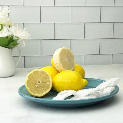 Kitchen Supply Wholesale Lemon Stretch Mesh Wraps 12 Pack, Cotton in Blue | Wayfair 762