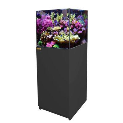 AQUA DREAM 63 Gallon Coral Reef Aquarium Tank w/ Ultra Clear & Built In Sump All (cost efficient & easy to clean) in Black | Wayfair REEF-600-BK