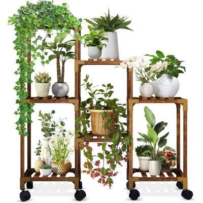 Arlmont & Co. Momoyo 9 Tier Ladder Plant Stand Wood in Brown | 16.3 H x 12.76 W x 4.21 D in | Wayfair 3BCD1B9F20E34DDD863E752945C37F36