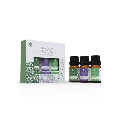 Plus Size Women's Pure Essential Aromatherapy Oils Gift Set by Pursonic in Lavender Eucalyptus Peppermint