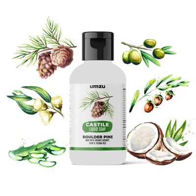 CASTILE LIQUID SOAP & BODY WASH: Made with Organic Coconut & Olive Oils - Pinewoods / 2 oz