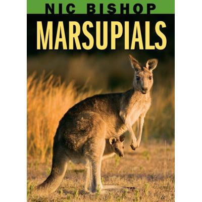 Nic Bishop Marsupials (Hardcover) - Nic Bishop
