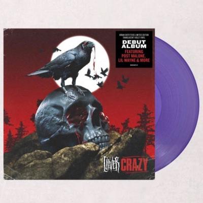 Urban Outfitters Media | Clever - Crazy Urban Outfitters Vinyl | Color: Purple | Size: Os