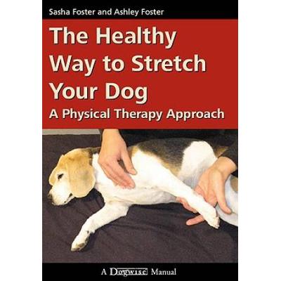 The Healthy Way To Stretch Your Dog: A Physical Therapy Approach