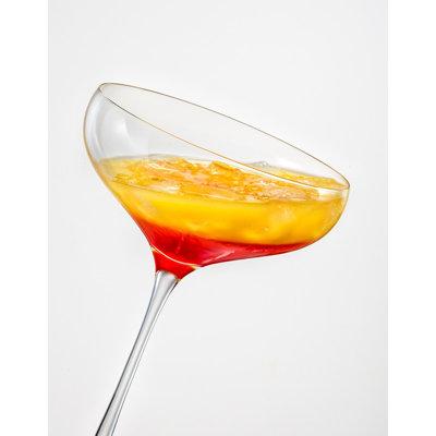 Red Vanilla Happy Hour Coupe Champagne Glass 290ml/9.80 oz Set/6 Glass | 7 H x 4.75 W in | Wayfair 40856-290