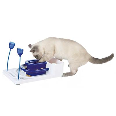 Fantasy Board Cat Toy, 12" L X 16" W, 8.25 IN, Blue