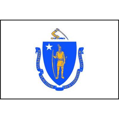NYLGLO 142460 Massachusetts State Flag,3x5 Ft