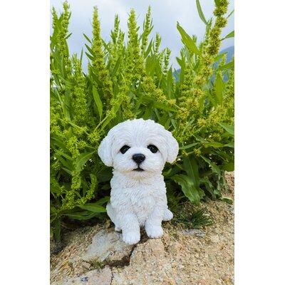 Hi-Line Gift Ltd. Maltese Puppy Statue Resin/Plastic in White, Size 6.75 H x 6.0 W x 4.75 D in | Wayfair 87771-12