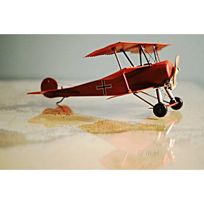 17 Stories 1917 Baron Fokker Triplane Metal in Gray/Red, Size 5.5 H x 11.5 W x 12.75 D in | Wayfair STSS6302 42972418