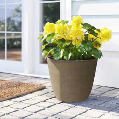 Charlton Home® Cadence Round Ribbed Plastic Pot Planter in Brown | 11 H x 14 W x 14 D in | Wayfair 68D7F77BCA784BA4B3EE25C318BDC920