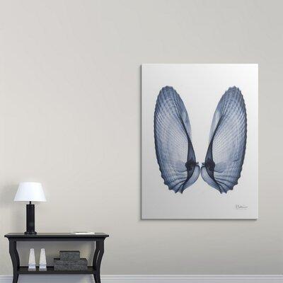 Highland Dunes 'Angel Wings by Byer Photographic Print in White | 48 H x 36 W x 1.5 D in | Wayfair 3EAE413A009F404D92E409FACF8AFB9E