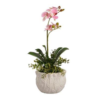 House of Hampton® Floral Arrangement in Pot in Pink | 19.69 H x 10.24 W x 8.66 D in | Wayfair HOHM8169 43615048